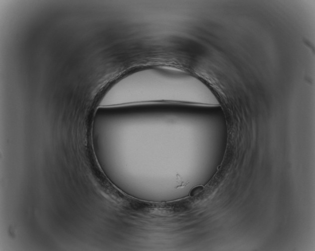 X0000093430303200710120923