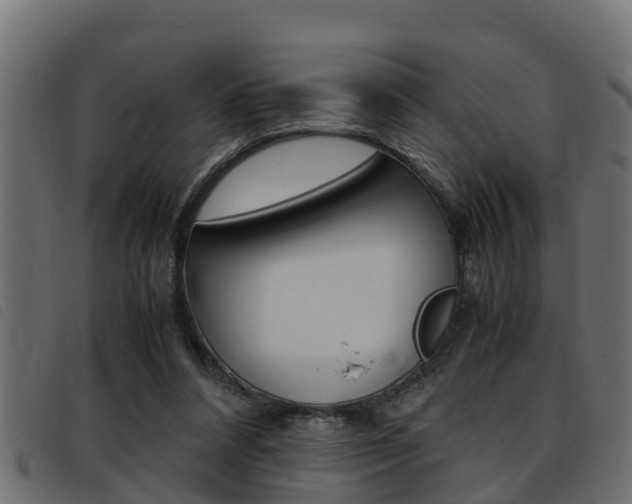 X0000093430304200710120923