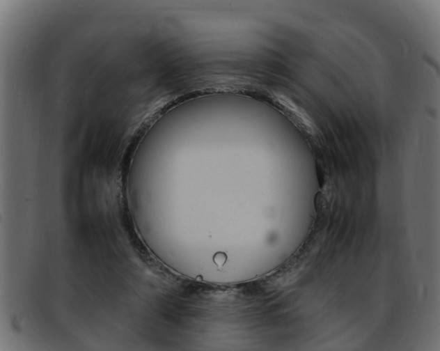 X0000093430306200710120923