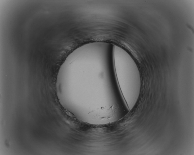 X0000093430307200710120923