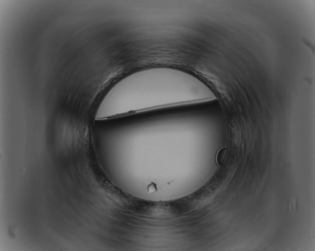 X0000093430308200710120923