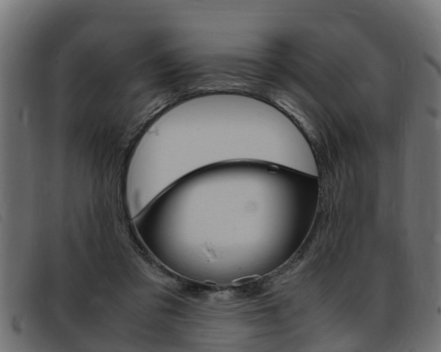 X0000093430309200710120923