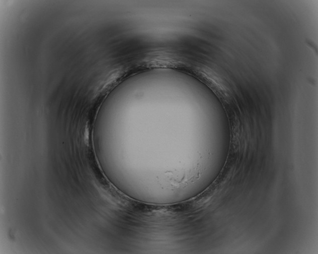 X0000093430310200710120923