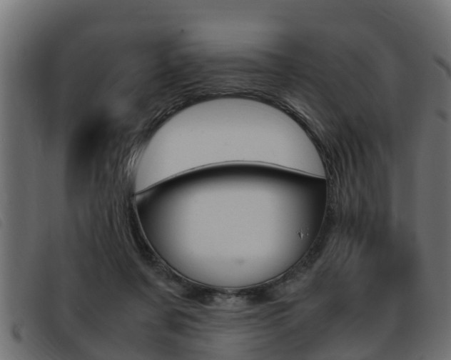 X0000093430311200710120923
