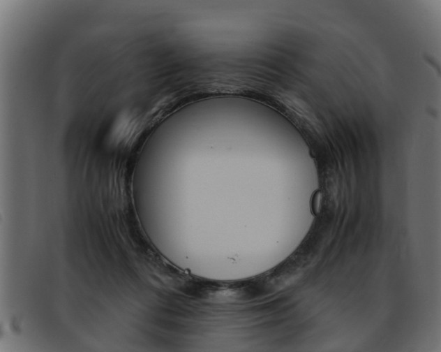 X0000093430312200710120923