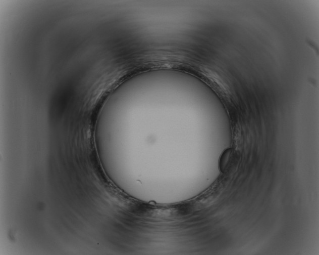 X0000093430314200710120923