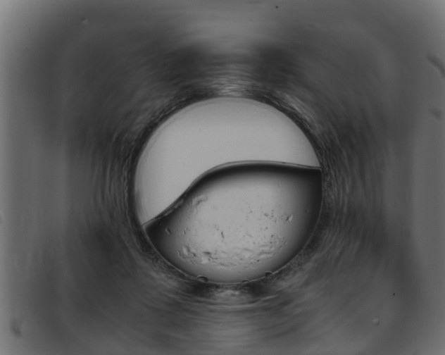X0000093430315200710120923