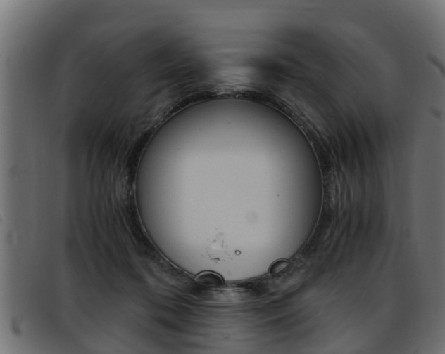 X0000093430316200710120923