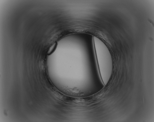 X0000093430317200710120923