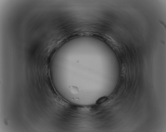 X0000093430318200710120923