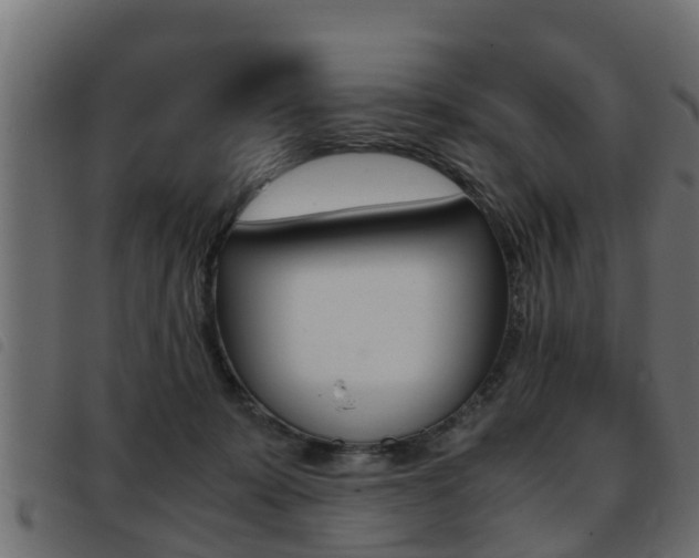 X0000093430319200710120923