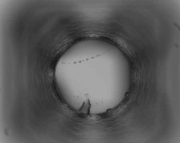 X0000093430321200710120923