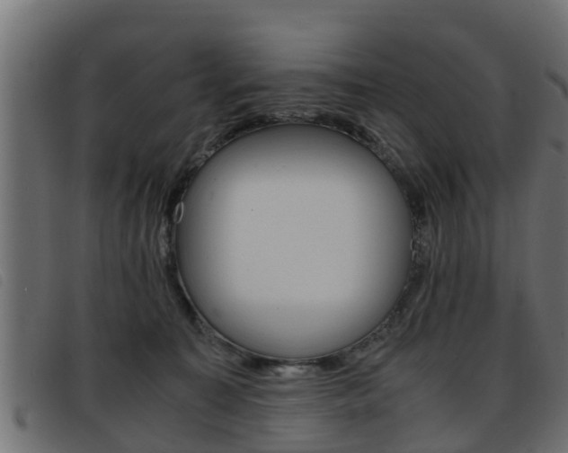 X0000093430323200710120923