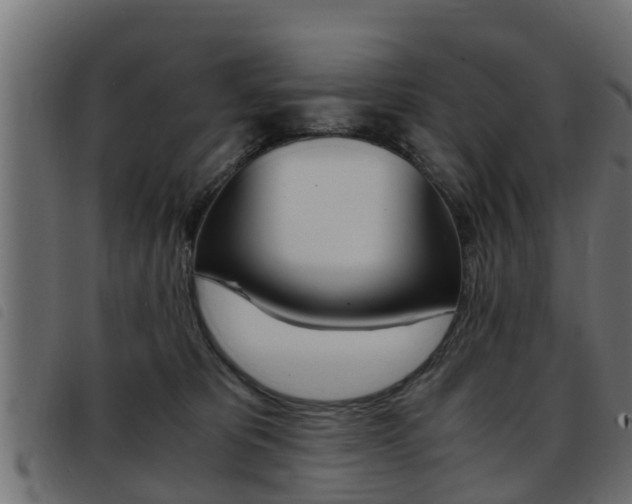 X0000093430325200710120923