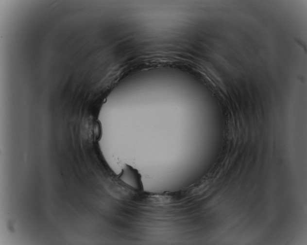 X0000093430328200710120923