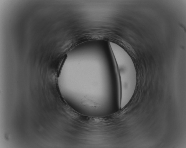 X0000093430329200710120923