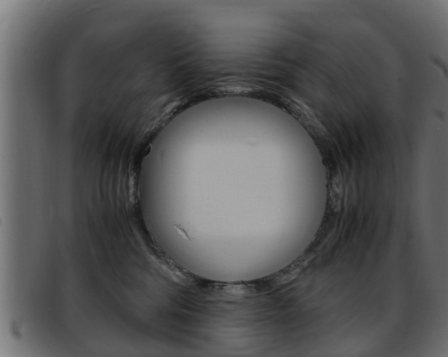X0000093430330200710120923