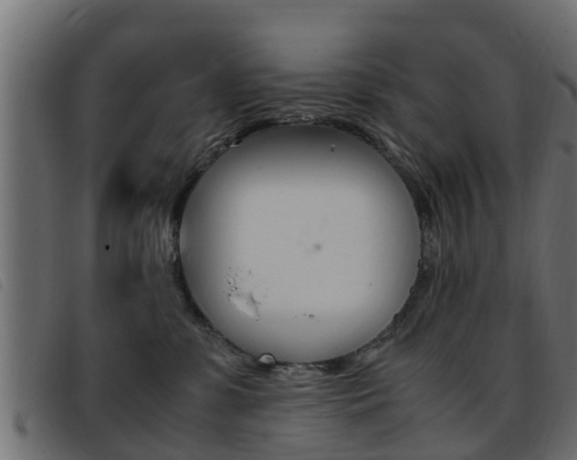 X0000093430331200710120923