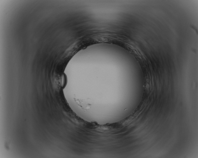 X0000093430332200710120923