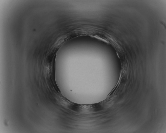 X0000093430333200710120923
