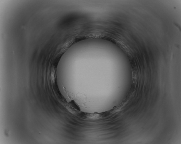 X0000093430334200710120923