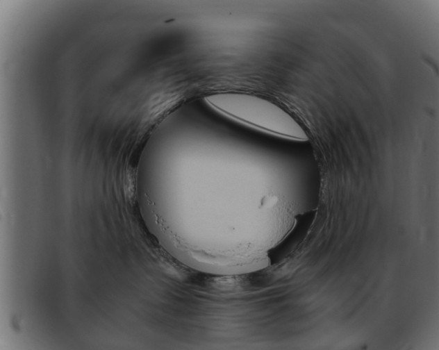 X0000093430335200710120923
