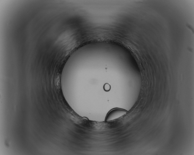 X0000093430336200710120923