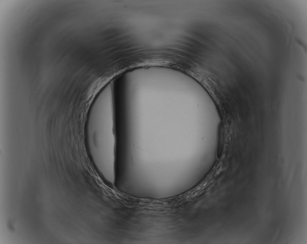 X0000093430337200710120922