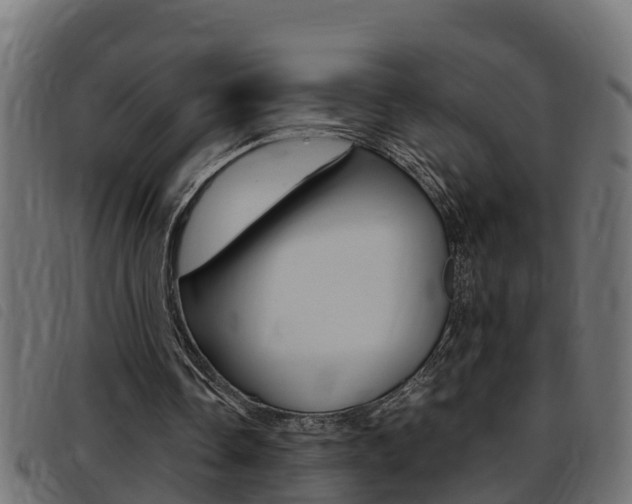 X0000093430338200710120922