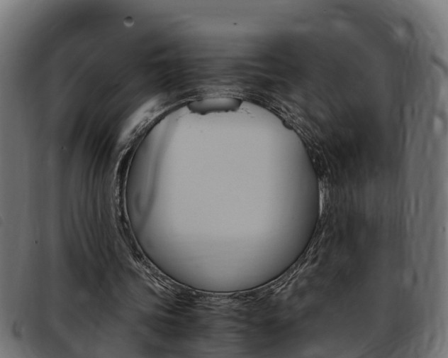 X0000093430339200710120922