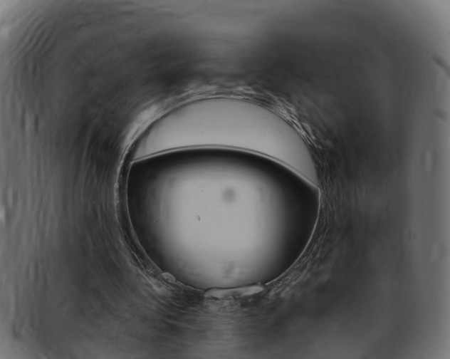 X0000093430340200710120922
