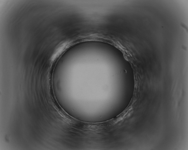 X0000093430341200710120922