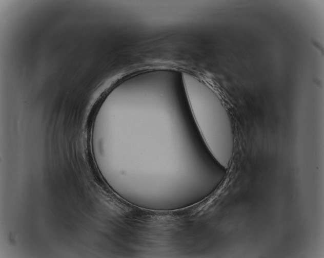 X0000093430342200710120922
