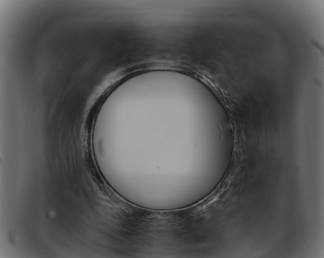 X0000093430343200710120922
