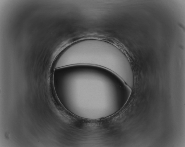 X0000093430344200710120922
