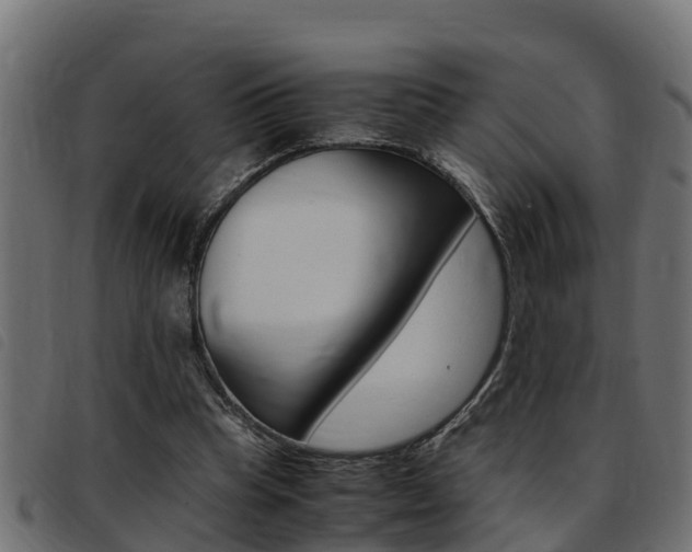 X0000093430345200710120922