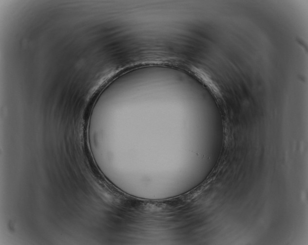 X0000093430346200710120922