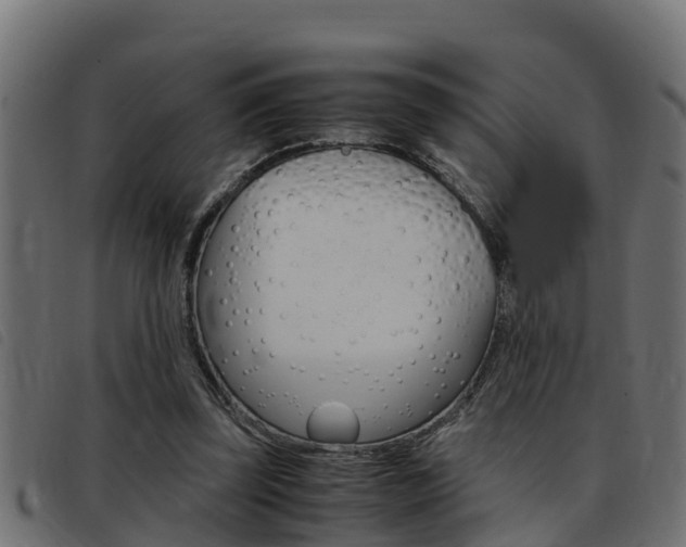 X0000093430347200710120922