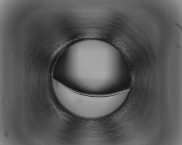 X0000093430348200710120922