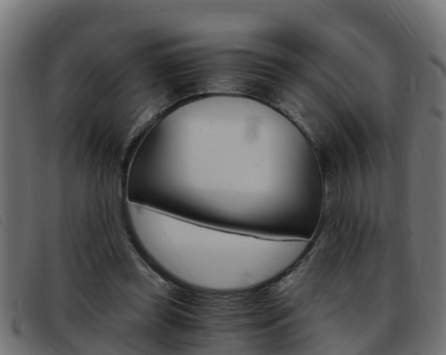X0000093430349200710120922