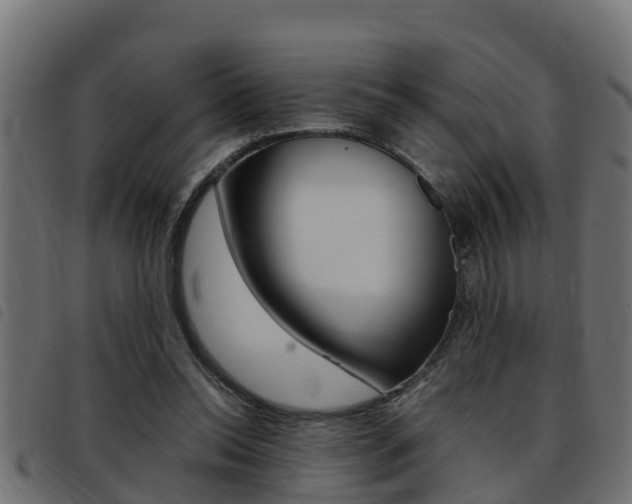 X0000093430350200710120922