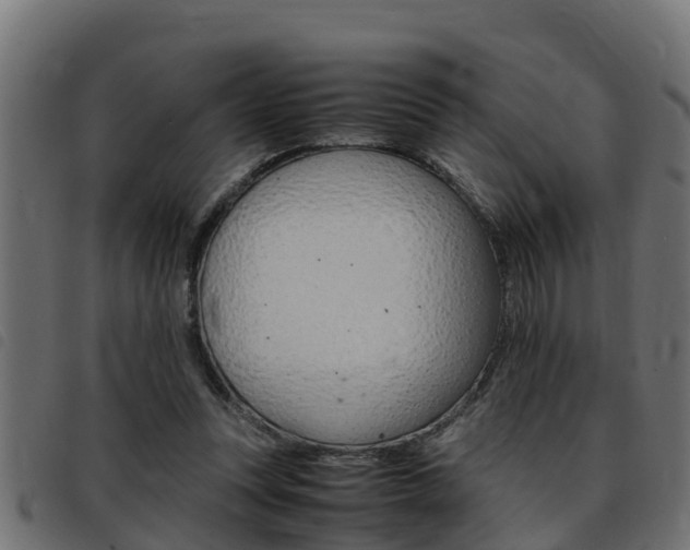 X0000093430351200710120922