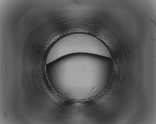 X0000093430352200710120922