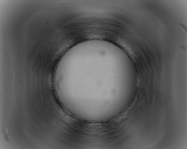 X0000093430353200710120922