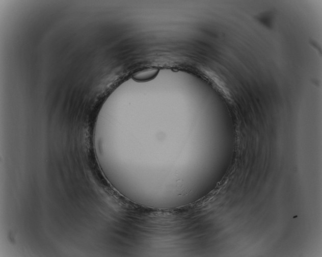 X0000093430354200710120922
