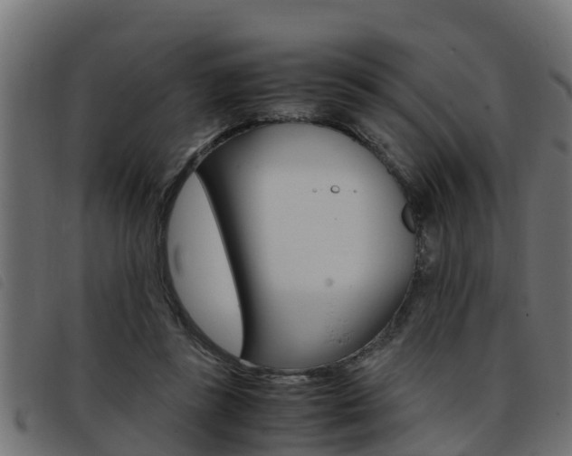 X0000093430355200710120922