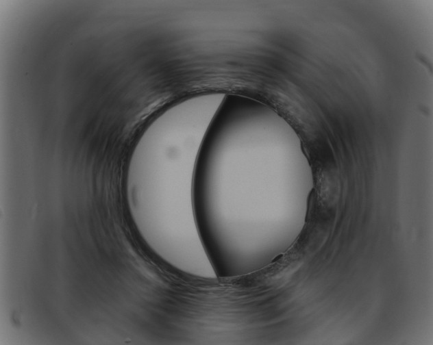 X0000093430356200710120922