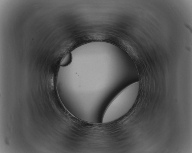 X0000093430358200710120922