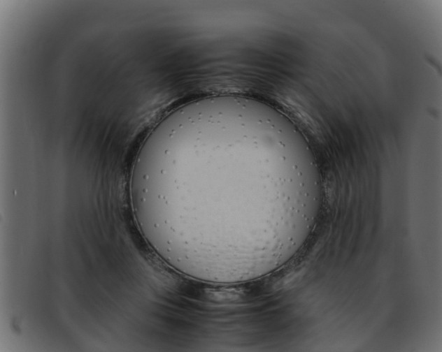 X0000093430359200710120922