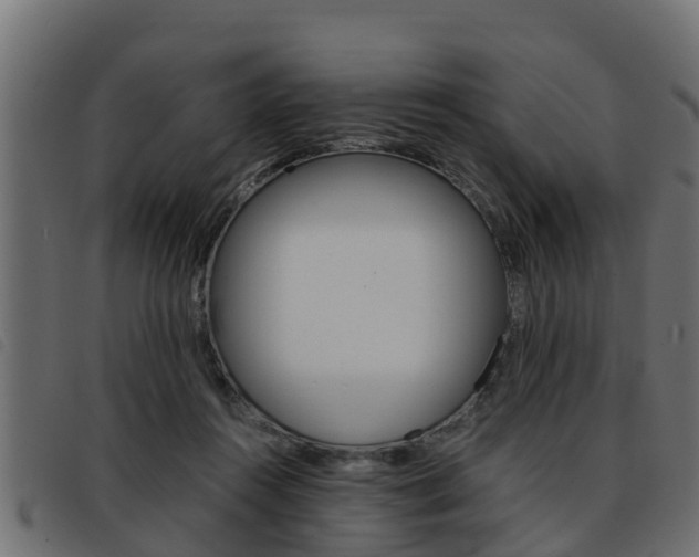 X0000093430360200710120922